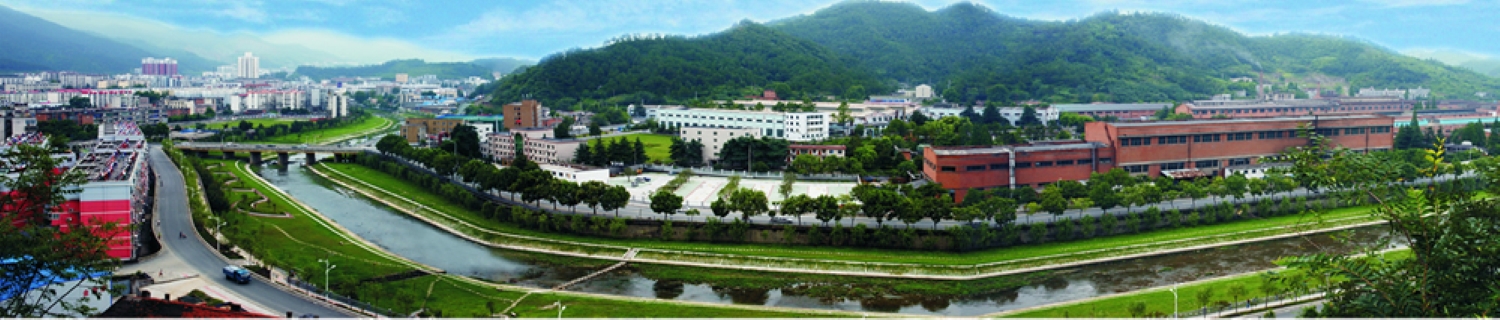鍛造公司